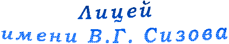Лицей
имени В.Г. Сизова
